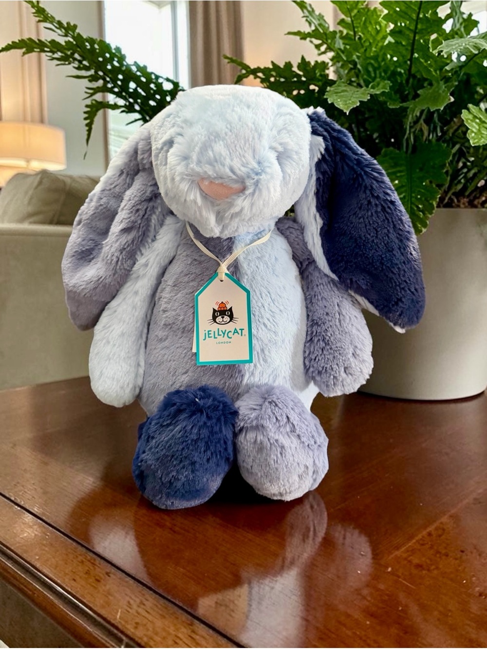 🐰💙𝐀𝐮𝐭𝐡𝐞𝐧𝐭𝐢𝐜 𝐉𝐞𝐥𝐥𝐲𝐜𝐚𝐭 𝐏𝐮𝐝𝐝𝐥𝐞𝐬𝐞𝐚 𝐁𝐮𝐧𝐧𝐲 💙🐰